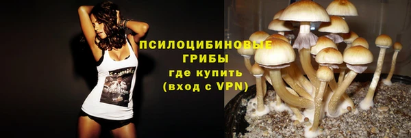 индика Пестово