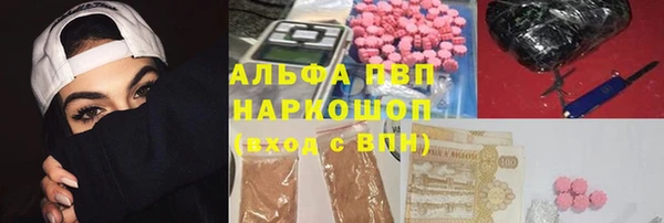 индика Пестово
