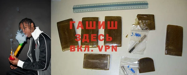 индика Пестово