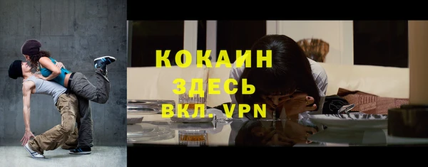 индика Пестово