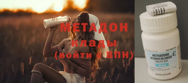 индика Пестово