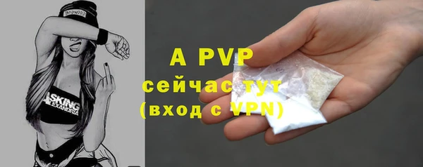 гашик Осинники