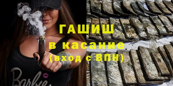 индика Пестово