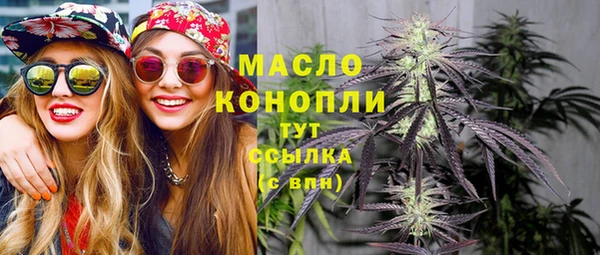 индика Пестово