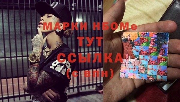 индика Пестово