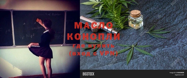 индика Пестово