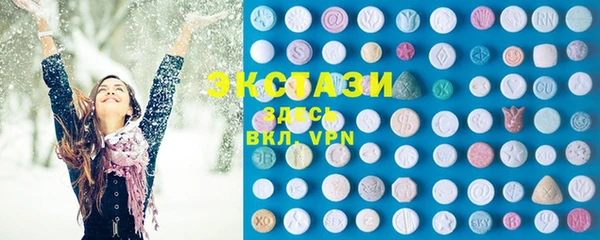 индика Пестово