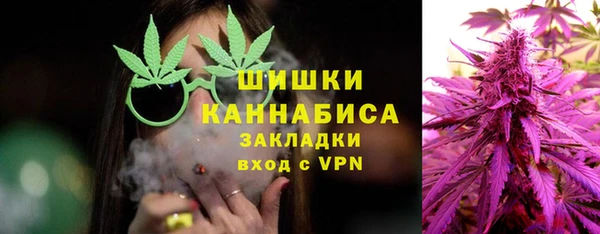 индика Пестово