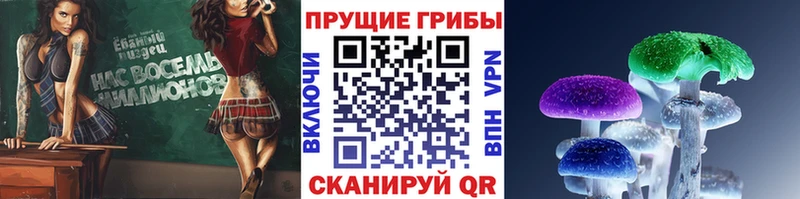 Псилоцибиновые грибы Psilocybine cubensis  hydra tor  Верхняя Салда 