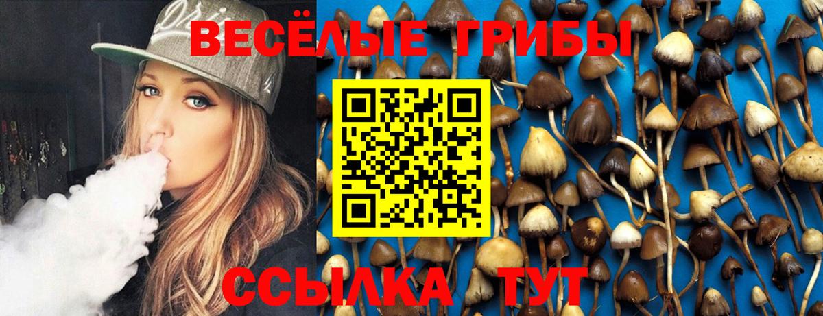 Галлюциногенные грибы Psilocybe  Псилоцибиновые грибы Cubensis  Верхняя Салда  Вход с VPN 
