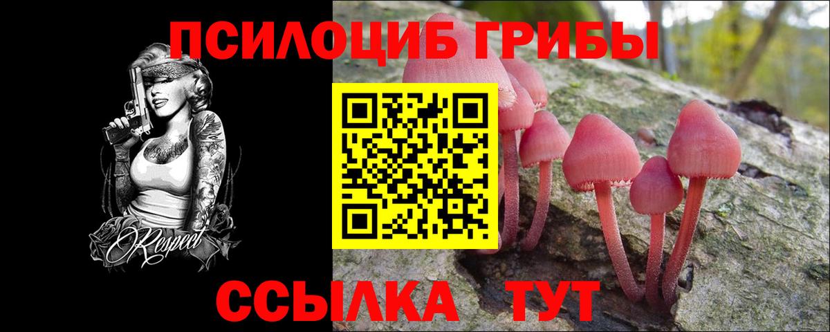 Галлюциногенные грибы прущие грибы Верхняя Салда
